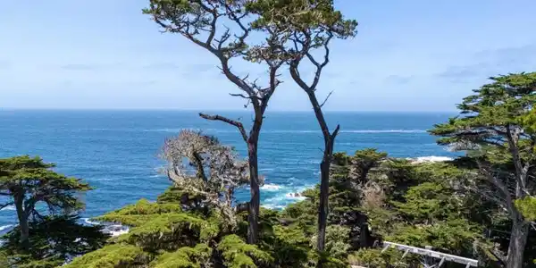 3245 17 Mile Drive