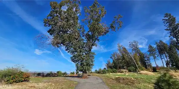 375 Valley View