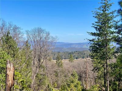 10130 Seigler Springs North