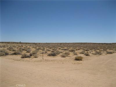 0 Tamarisk