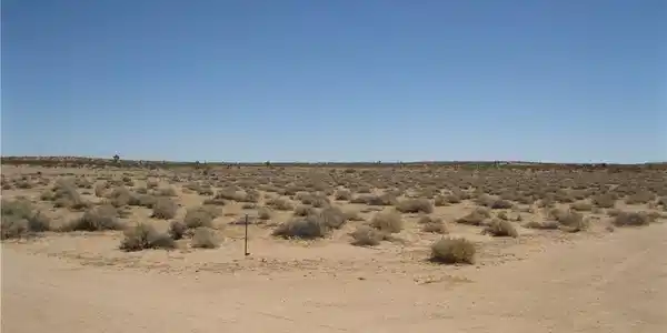 0 Tamarisk