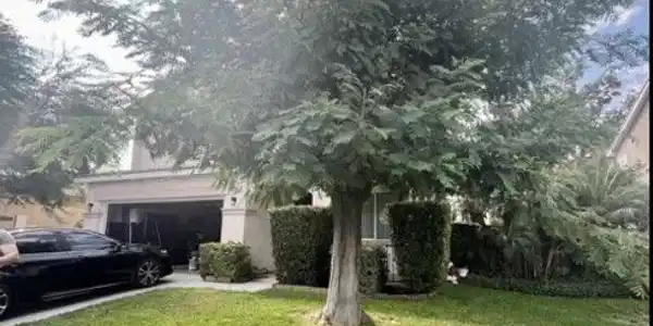 1166 Sykes Drive