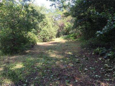 30242 Oak Lane