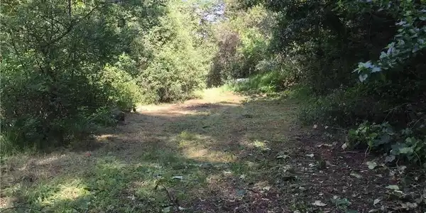 30242 Oak Lane