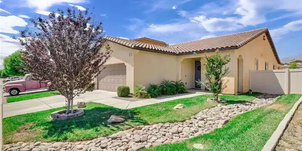 1336 Black Diamond