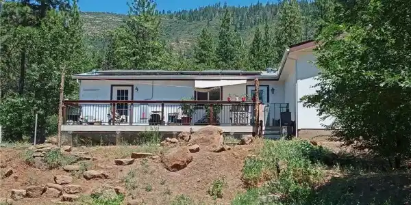 30700 Scrub Oak