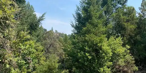 950 Middleton Drive