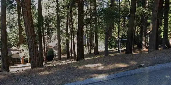 0 Crest Forest