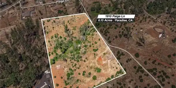 1910 Paige Lane