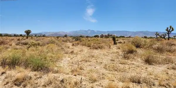 1 Coyote Road