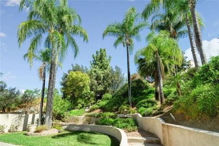 29290 Jasmine Place
