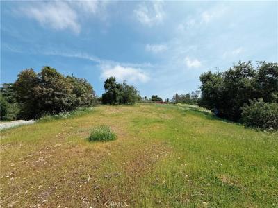 1826 Bluebird Road