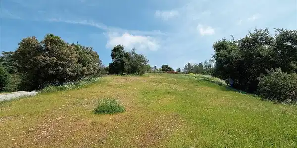 1826 Bluebird Road