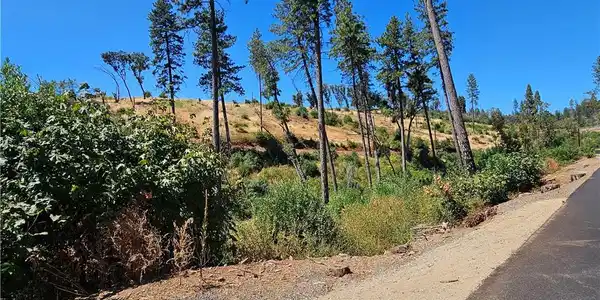 2000 Stearns Road