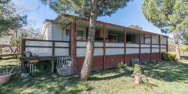 43231 Chapman