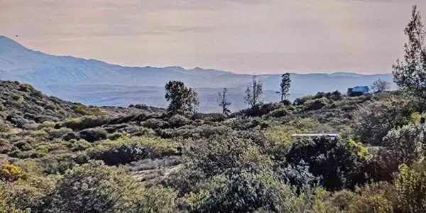 Lone Oak Trail