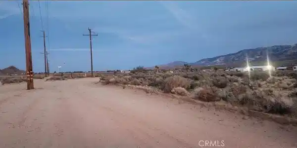 0 Alamo