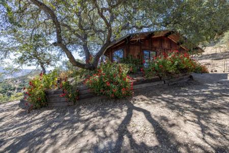 37840 Poppy Tree Lane