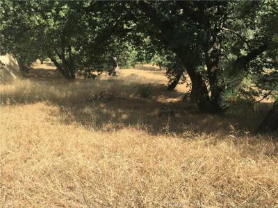 30481 Live Oak