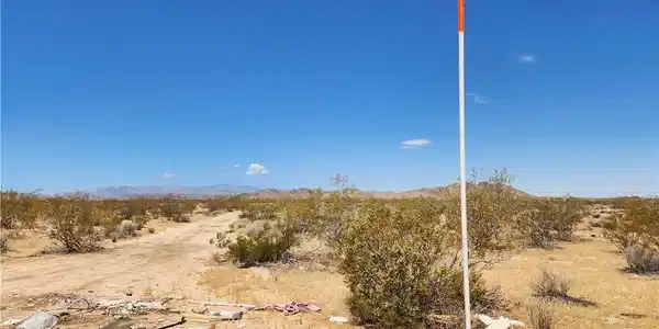 40 AC Joshua Tree