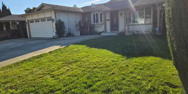 2595 Gumdrop Drive