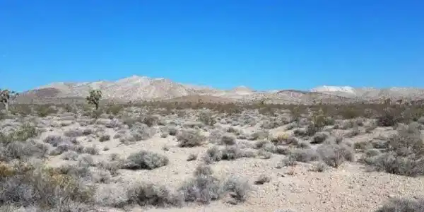 0 Shadow Mountain