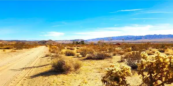 62259 Dixie Lane