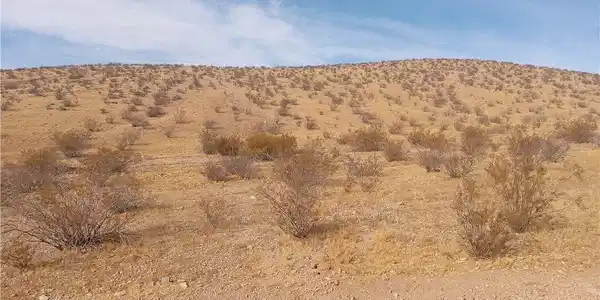 0 Vacant Land