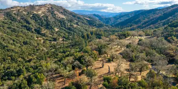 37 Arroyo Sequoia (Lot 113)