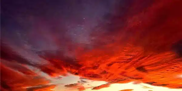 6018 La Buena Tierra