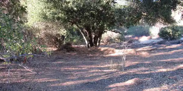 2115 N Campo Truck Trail