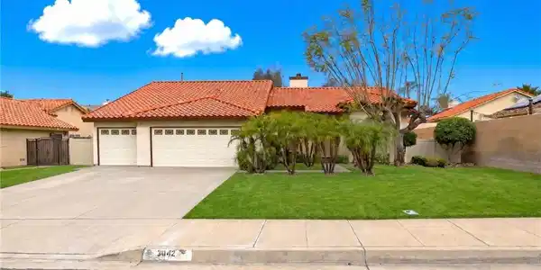 3842 N Sweet Leaf