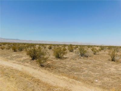 0 California City Boulevard