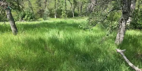 16368 Lariat Loop