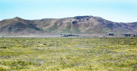 12450 Clio Trail