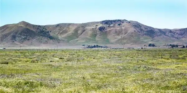 12450 Clio Trail