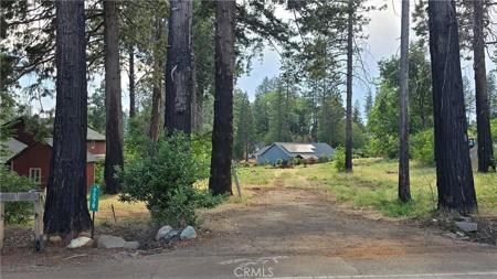 7279 Pentz Road