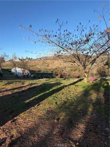 11121 Yankee Vista
