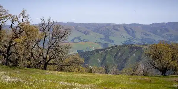 26 Long Ridge Trail