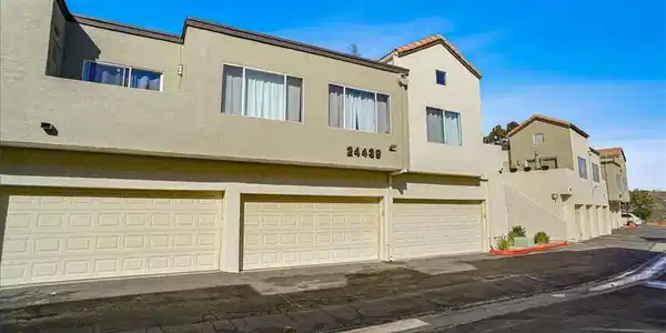 24439 Leonard Tree