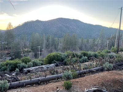 16710 Starview Loop Rd