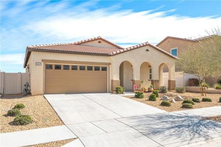 10657 Appaloosa