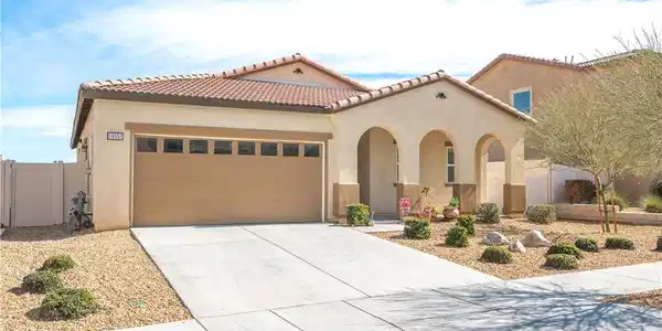 10657 Appaloosa