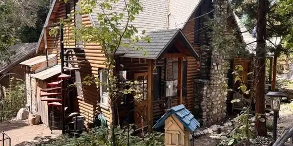 Image 3
