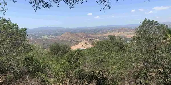 19519 Camino Del Aguila