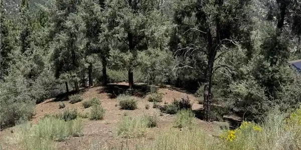 2424 Cedarwood
