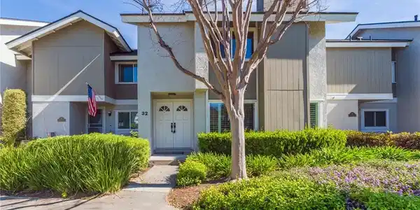32 Goldenbush
