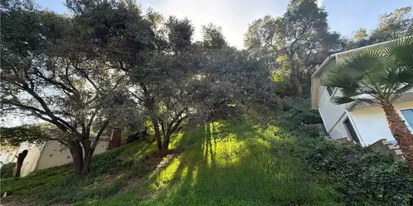 2430 Drury Lane