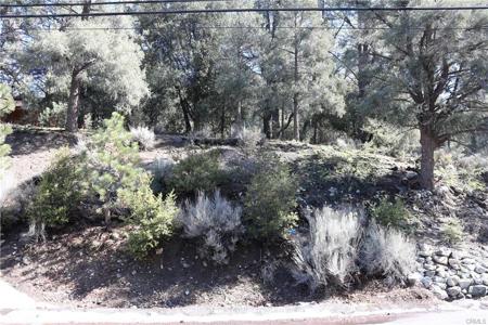 2216 Woodland Drive