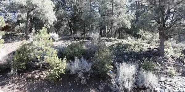 2216 Woodland Drive